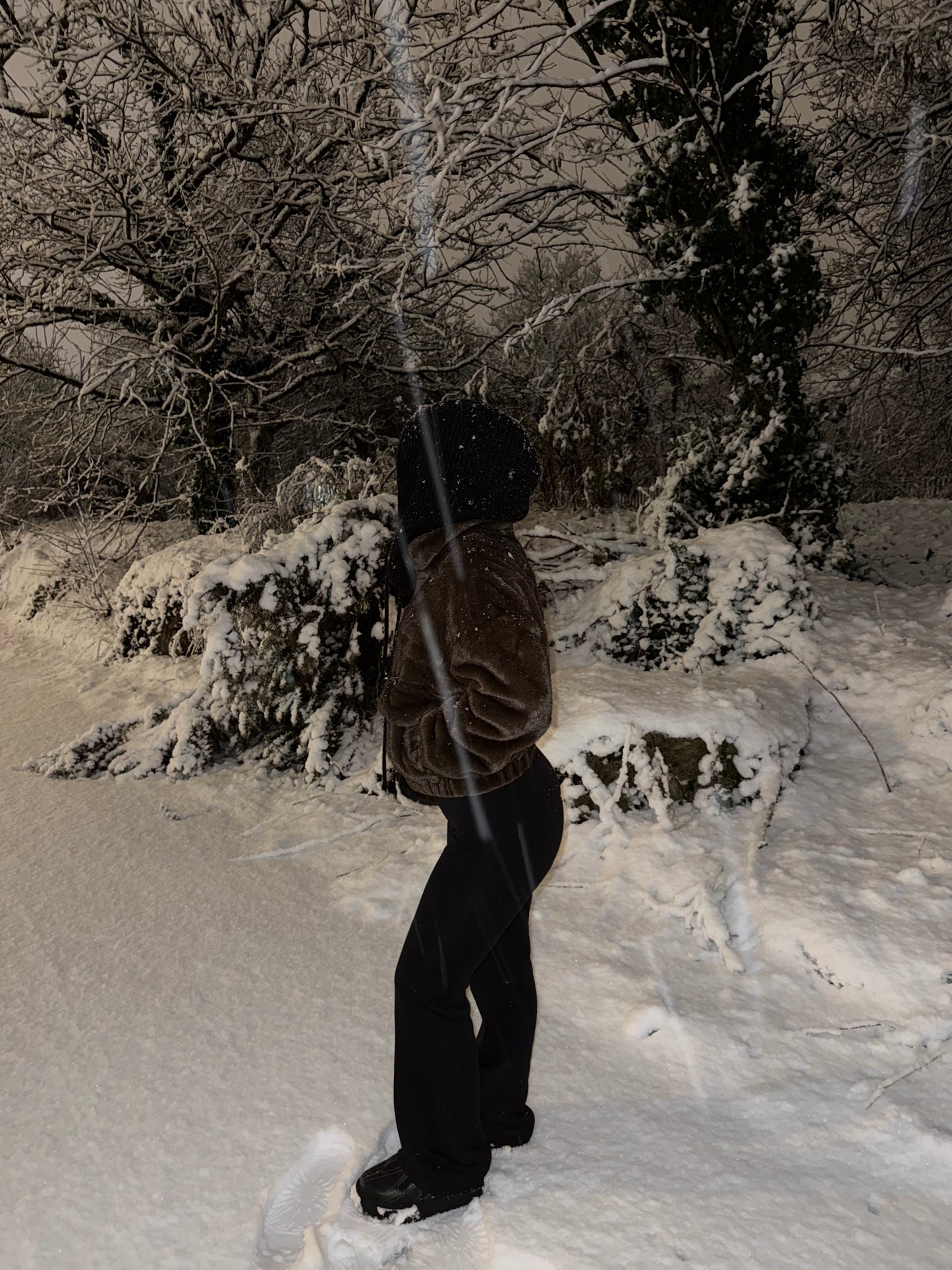 Fourrure vegan marron